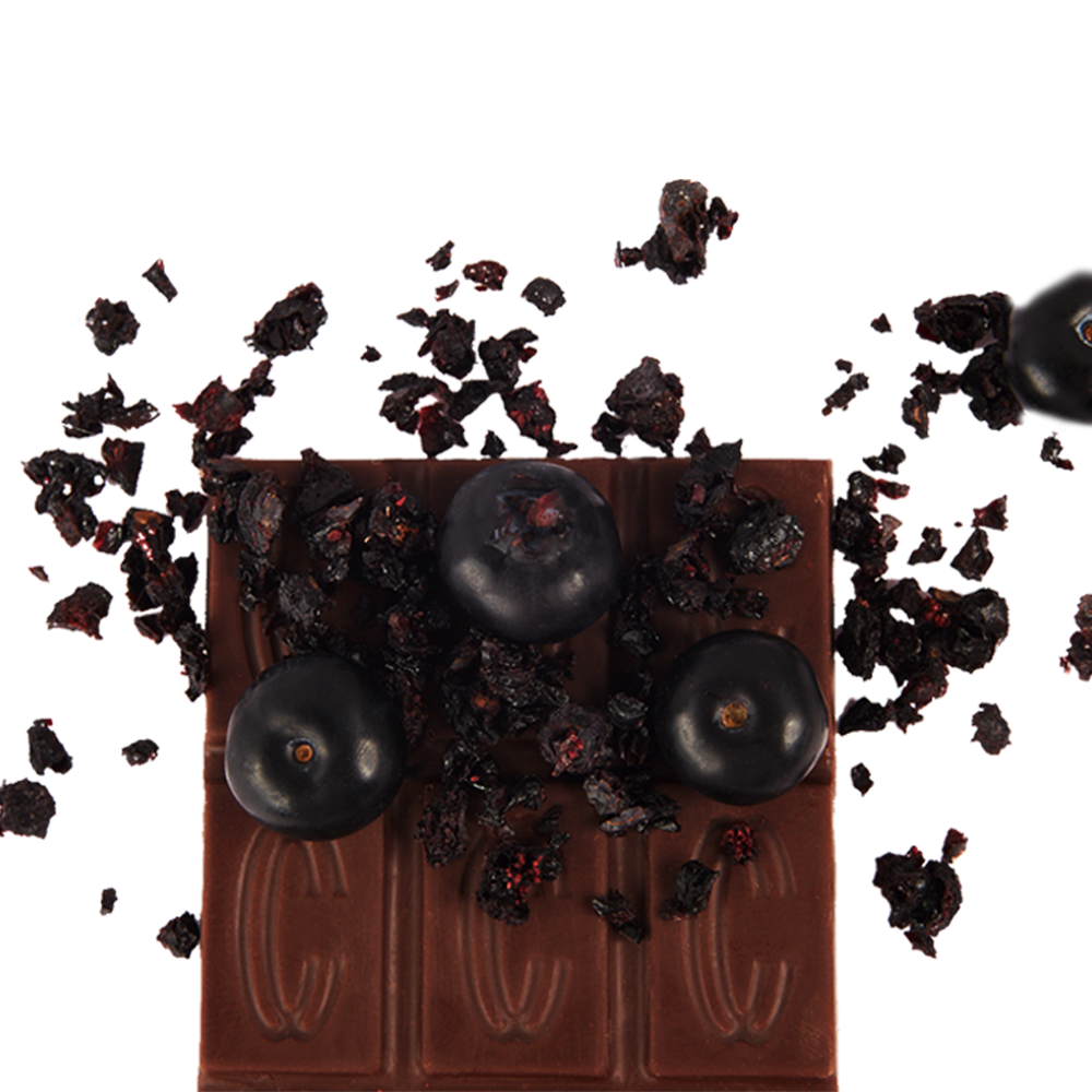 Blueberry Organic Dark Chocolate Bar