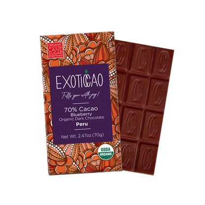 Blueberry Organic Dark Chocolate Bar