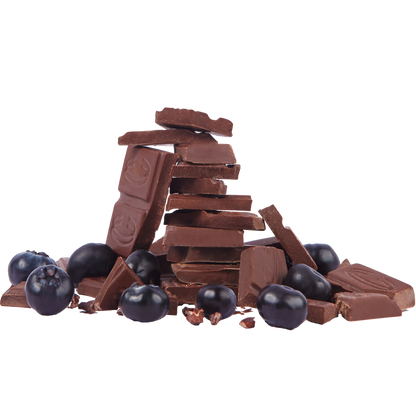 Blueberry Organic Dark Chocolate Bar